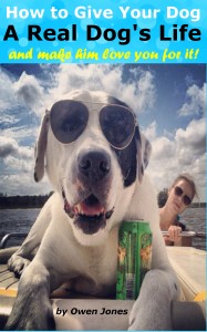 A Real Dog's Life
