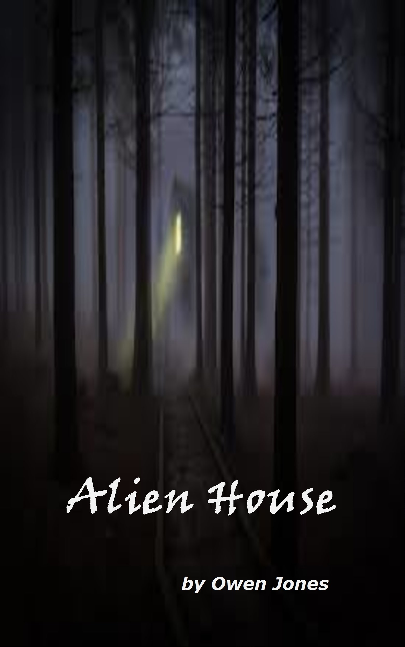 The Alien House The Alien House
