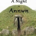 A Night in Annwn