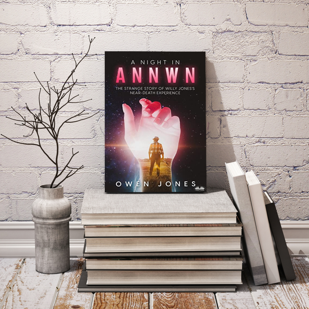 Banner ad book promo
