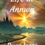 A Night In Annwn (Paperback)