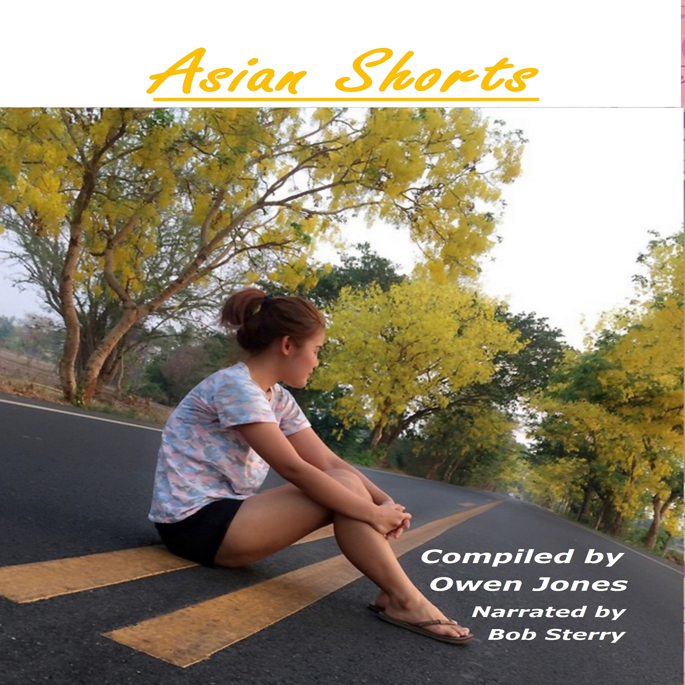 Asian Shorts International 4 Asian Shorts Audiobook