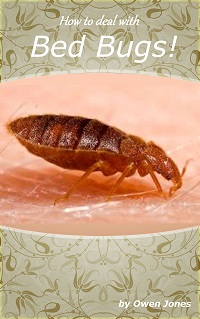 How To Get Rid of Bed Bugs