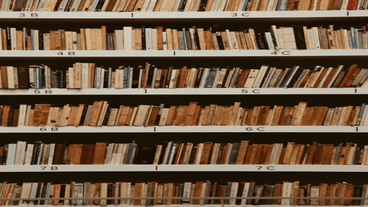 Bookshelves in our library