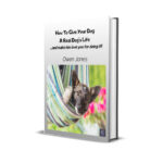Dog's Life - mock-up