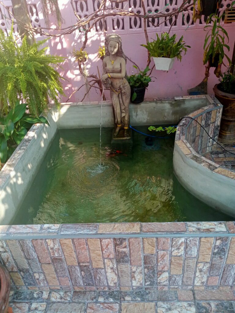 Garden Pond1 Stage 3