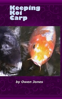 Keeping Koi Carp