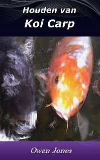 Houden van Koi Karp 3 Houden van Koi Karp