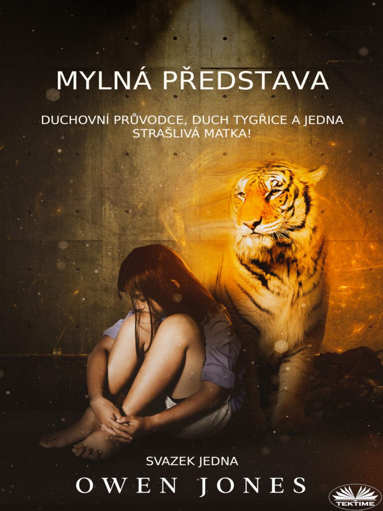 Série o Psychická Megan 3 Book cover: The Misconception in Czech