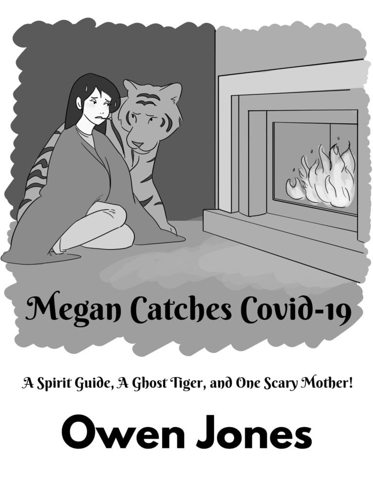 The Psychic Megan Series