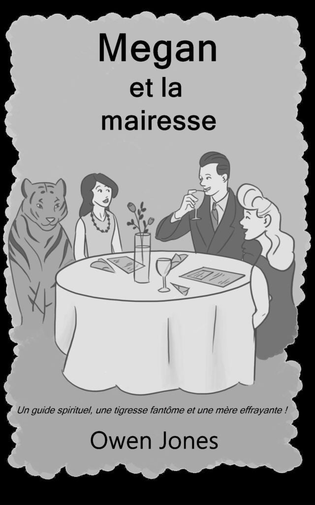La série de la psychique Megan 9 Livres français: La série de psychique Megan