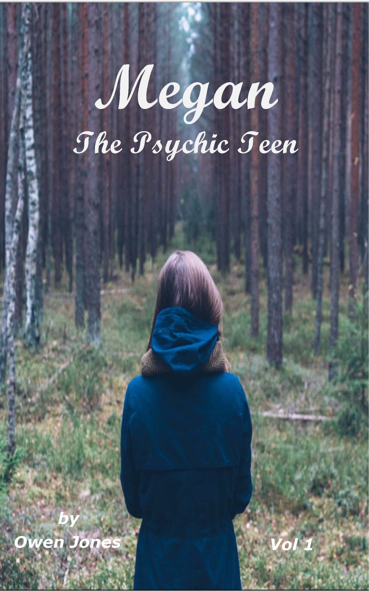 My Novels on Amazon 15 Megan Collection vol 1
