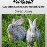 Rabbit-Care-Eng-TW-hires Pet Rabbit book cover