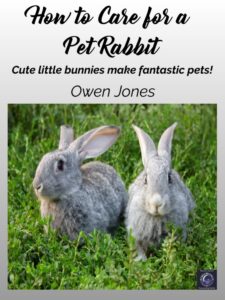 Pet Rabbits book cover