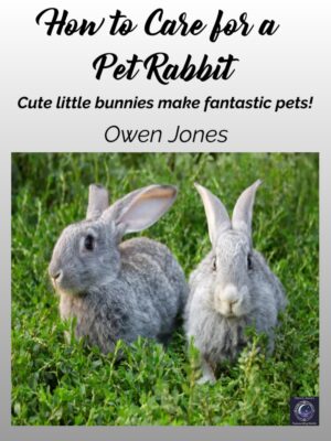 Pet Rabbit book cover