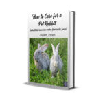 Rabbits-mock-up Pet Rabbit book cover mock-up