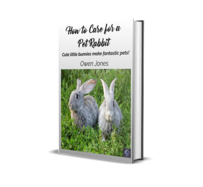 Rabbits-mock-up Pet Rabbit book cover mock-up