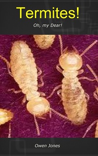 Termites!