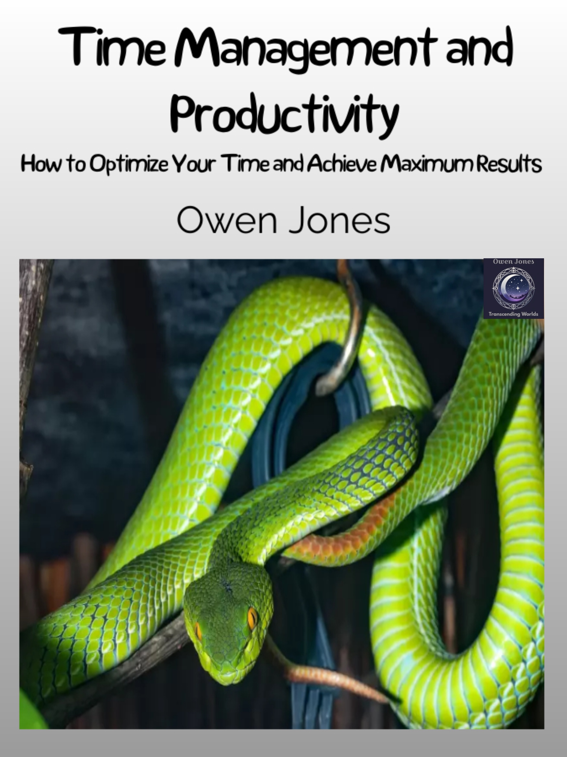 Mastering Time Management 2 Time Management and Productivity book cover