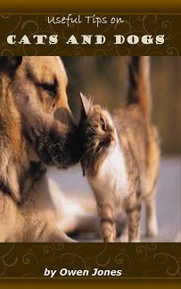 Cats and Dogs