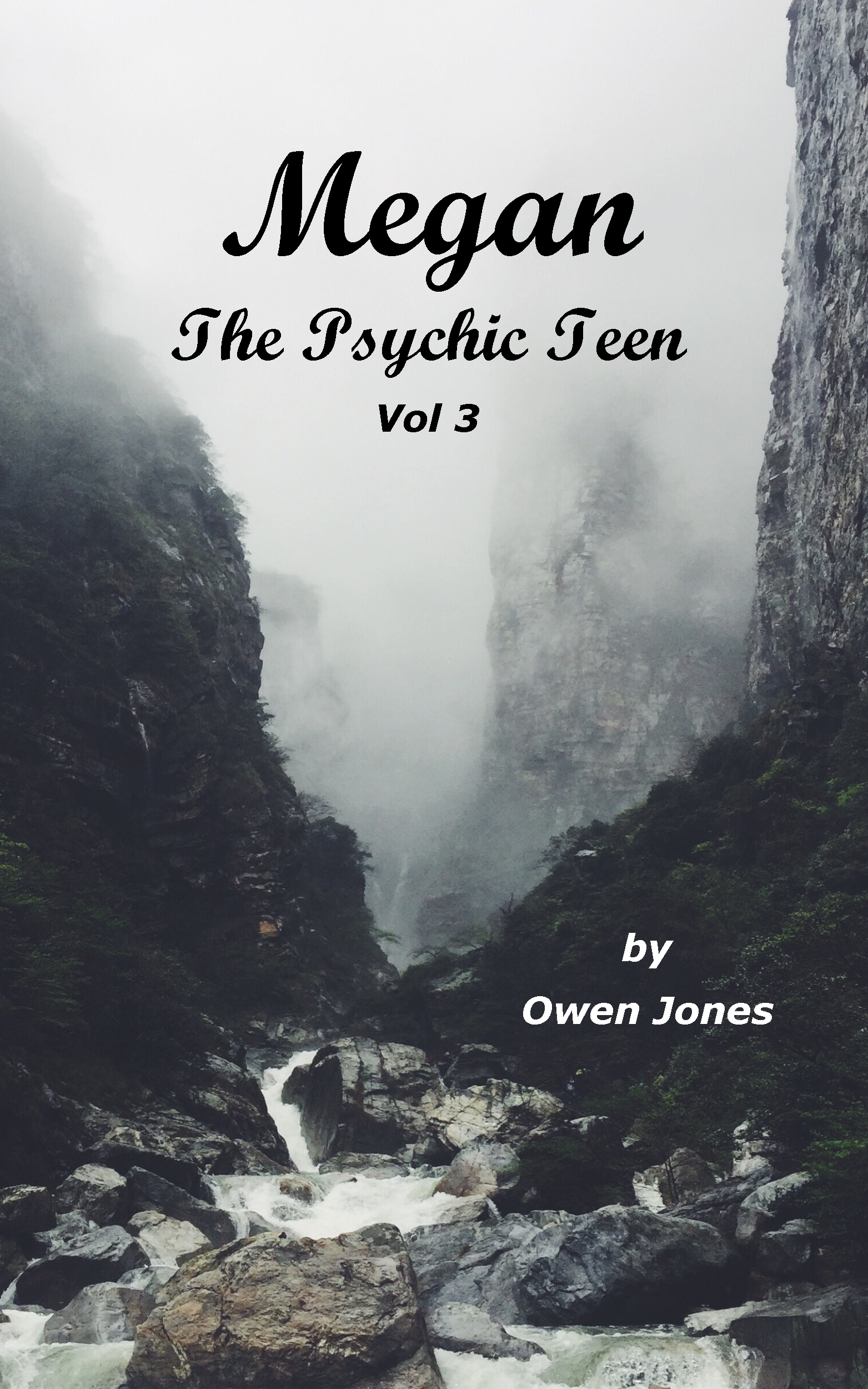 My Novels on Amazon 17 Megan Collection vol 3