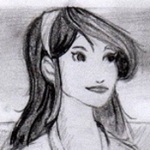 Megan logo